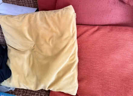 Photo of free Cushions x 6 (Croydon. CR2 9) #2
