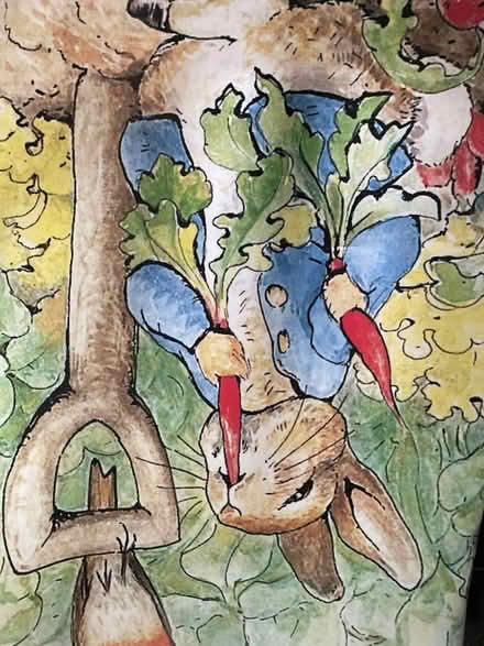 Photo of free Peter Rabbit big poster (CO1 Colchester) #4