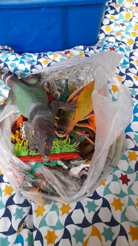 Photo of free Teddys/toys (Withington M20) #2