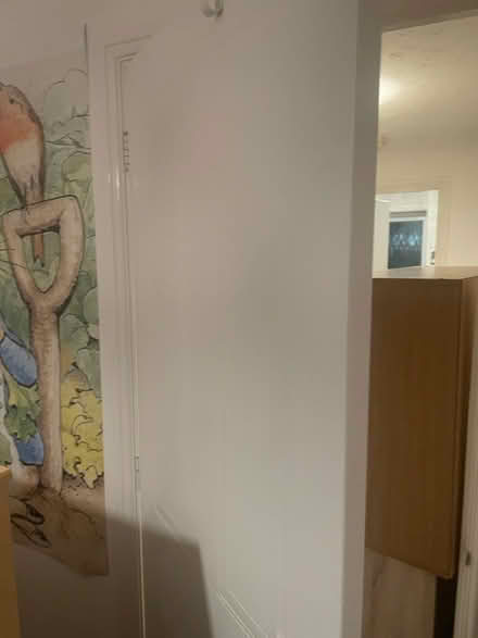 Photo of free Peter Rabbit big poster (CO1 Colchester) #1