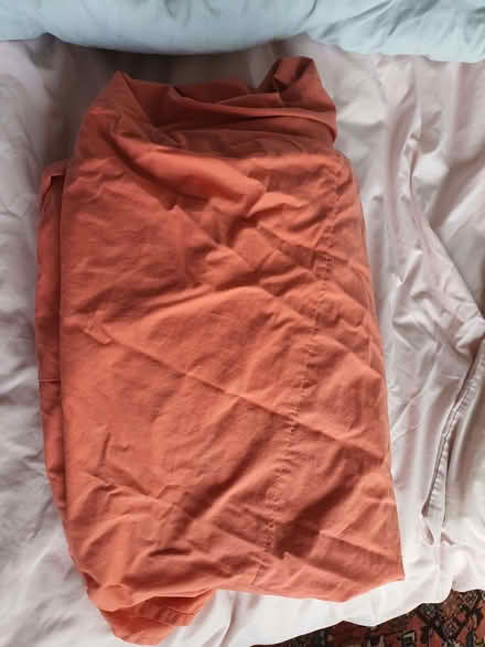 Photo of free Valance sheet (Upper Holloway N19) #1