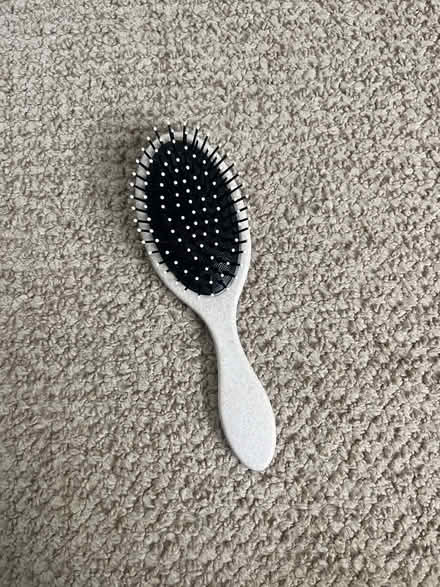 Photo of free Dog Brush (McLean Gardens) #1