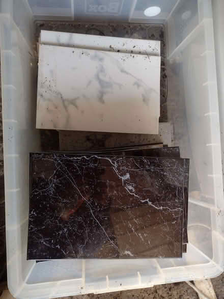 Photo of free Ceramic tiles (Barnhill DD5) #3
