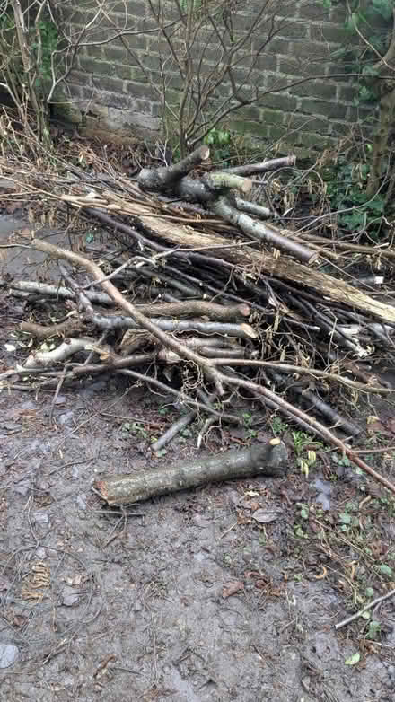 Photo of free Cut up wood, mostly hazel (Nw105xs) #1