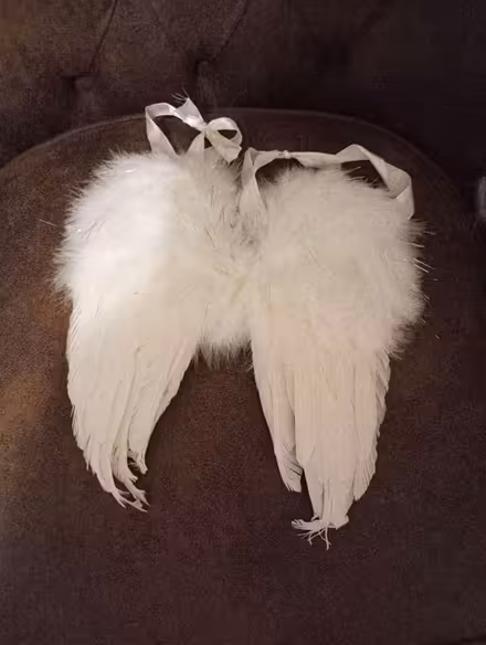 Photo of free Angel wings (Bolton le Sands LA5) #1