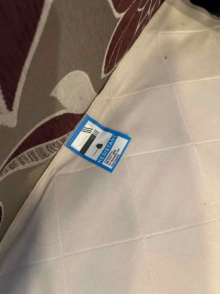 Photo of free Double sofa bed (Brixham TQ5) #3
