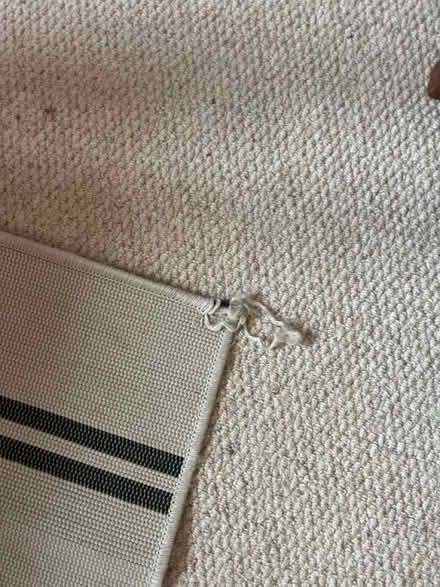 Photo of free IKEA Virklund Rug (SW12) #2