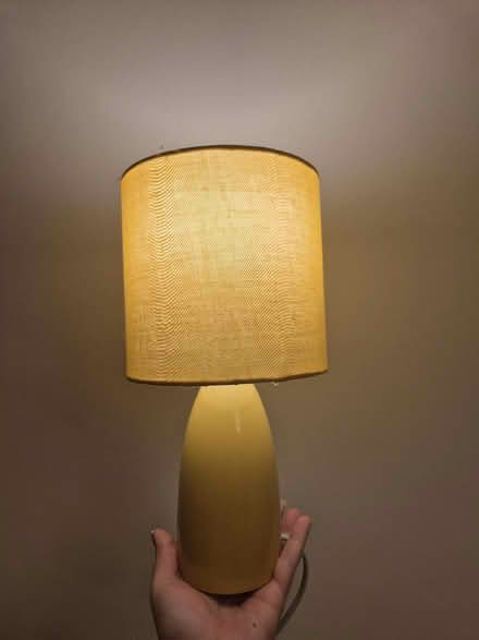Photo of free Lamp (ME10) #1