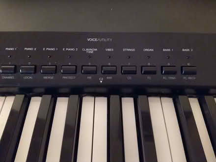 Photo of free Clavinova keyboard (Dalry EH11) #2