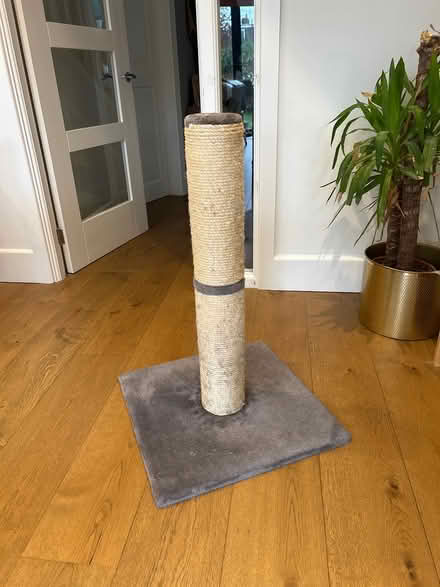 Photo of free Tall cat scratching post (Twickenham TW2) #1