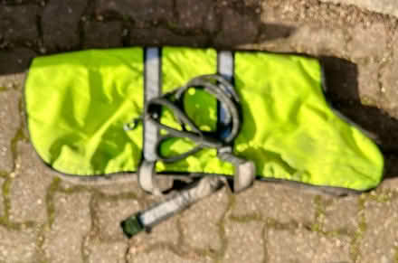 Photo of free Dog’s hi-viz jacket and lead (Cuddington CW8) #1