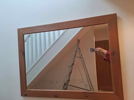 Photo of free Large mirror (Alvington) #2