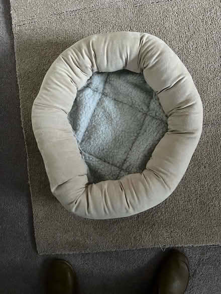 Photo of free 50cm diameter cat bed (Wokingham RG40) #1