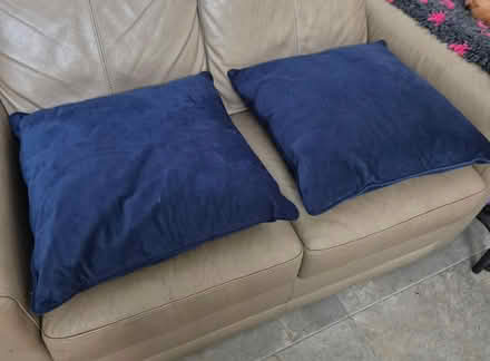 Photo of free 2 x large blue cushions (Cheltenham) #2