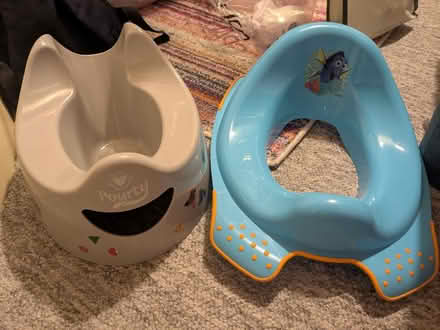 Photo of free Potty/seat (Parkwall BS30) #1