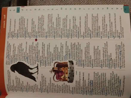 Photo of free Children's dictionary and thesaurus (Boxmoor HP1) #3