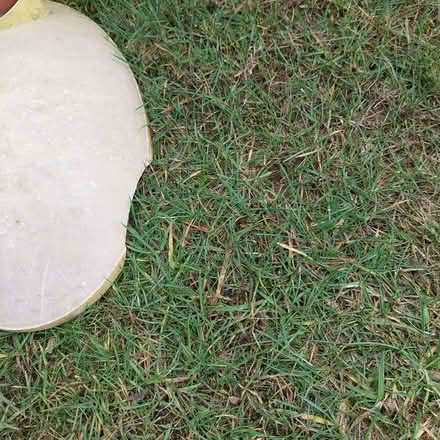 Photo of free Toddler slide (Walton Hall Gardens WA4) #2