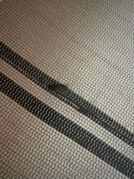 Photo of free IKEA Virklund Rug (SW12) #3