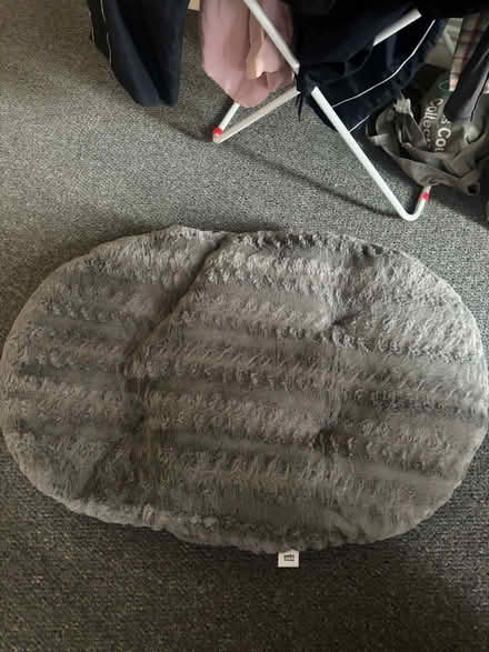 Photo of free New medium pet bed (W10) #1