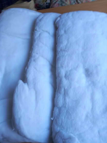 Photo of free Used pillow foam insides (Odd Down) #2
