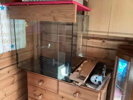 Photo of free Fish tank and accessories (Muxton Telford) #1