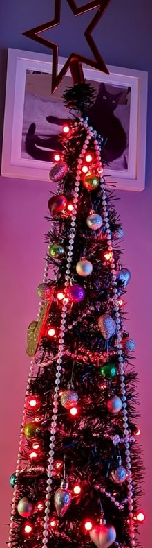 Photo of free Pop up black Xmas tree, (used once) (Pontefract WF8 area) #3