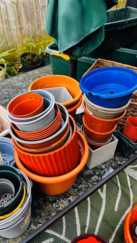 Photo of free Various sized pots (St Albans) #3