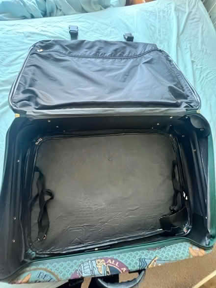 Photo of free Betty boop suitcase (Chasetown) #3