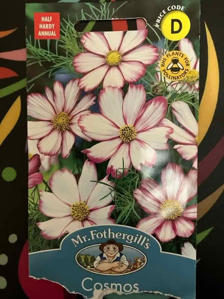 Photo of free Cosmos seedlings 🌱 (Waddon) #1