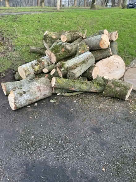 Photo of free Fire wood ash (Carlisle) #1