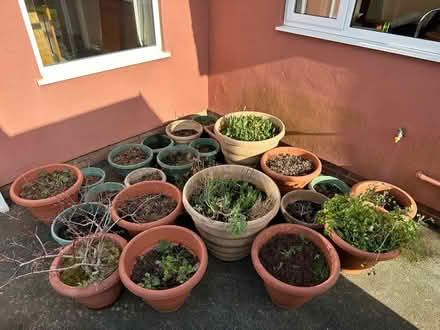 Photo of free Variety of pots (Brixham TQ5) #1