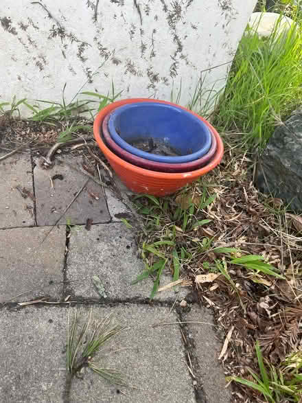 Photo of free Ceramic pots (Kensington) #1