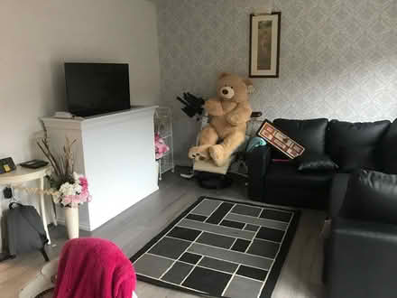 Photo of free Big Costco teddy (Kensington) #1