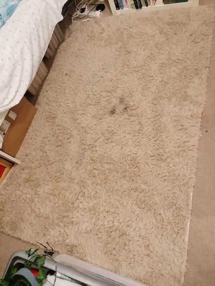 Photo of free Large rug (S10) #1