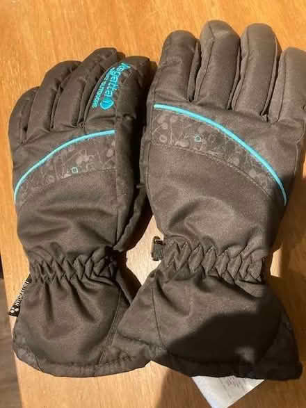 Photo of free Regatta lined gloves, small-medium (Lewes BN7) #1