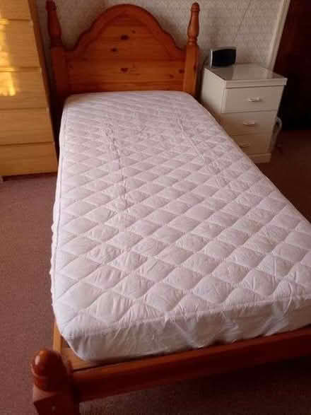 Photo of free Single bed (Great Sankey WA5) #1