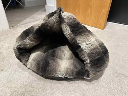 Photo of free Cat Igloo (Cardiff Bay CF11) #1