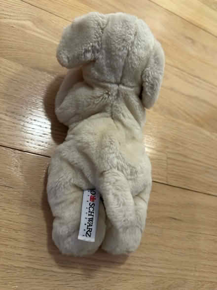 Photo of free Small Dog Stuffed Animal (Park Slope) #3
