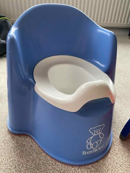 Photo of free Potty and travel potette (Orpington, BR6 9) #2