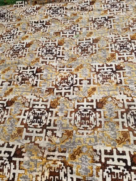 Photo of free 1970's carpet (Great Baddow CM2) #2