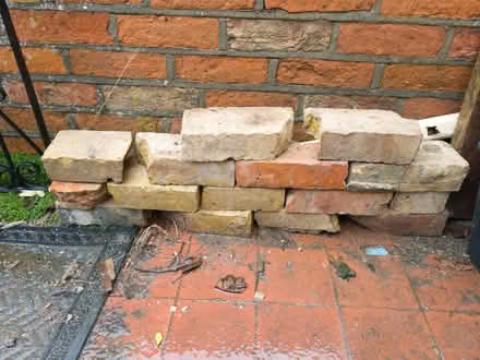 Photo of free Reclaimed bricks for garden or allotment path (Temple Street OX4) #1