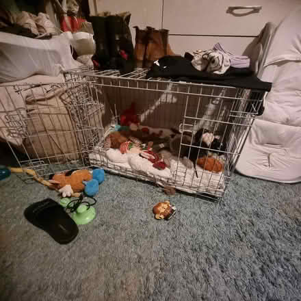 Photo of free Dog crate (Blacon CH1) #1