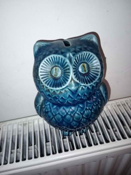 Photo of free China owl money box (Dyke Road area BN1) #1