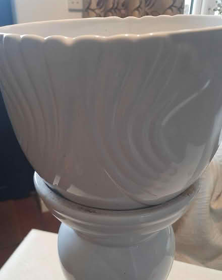 Photo of free Plant Stand (Broseley TF12) #2