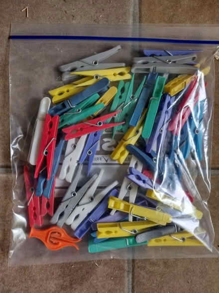 Photo of free Clothes pegs (Eastbourne BN21 2) #1