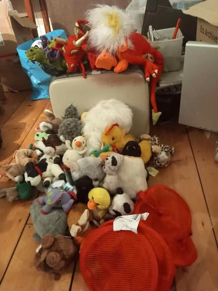 Photo of free Soft toys (Leatherhead KT22) #1