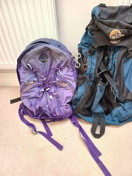 Photo of free Backpacks (Lambridge) #1