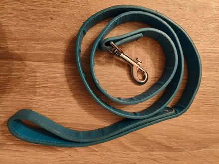 Photo of free Sturdy dog lead (Poets MK40) #1