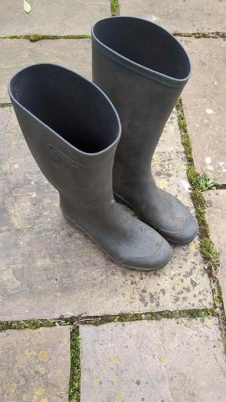 Photo of free Gardening bits and pieces (Central Reading RG1) #1