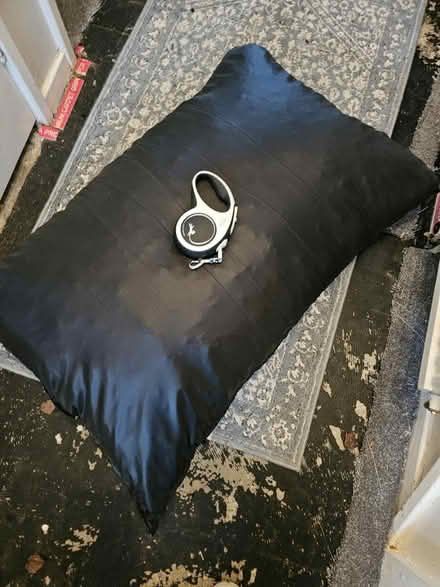 Photo of free Large dog bed (GU21) #1